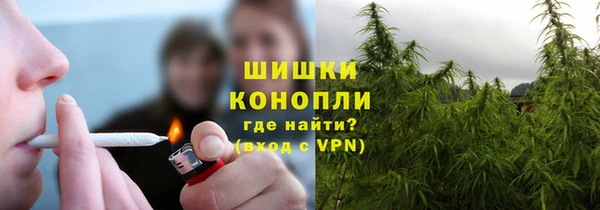прущие грибы Нея