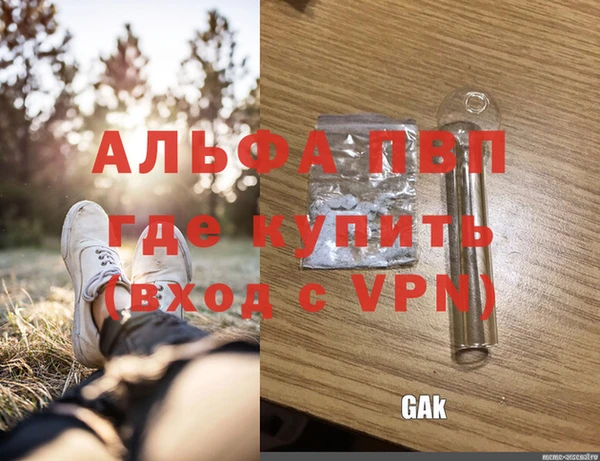прущие грибы Нея