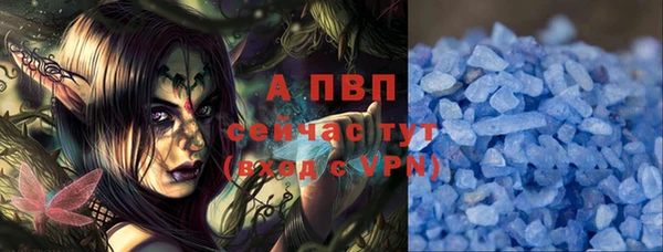 прущие грибы Нея