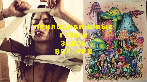 тгк Новодвинск