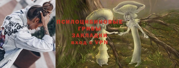 прущие крисы Новозыбков