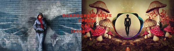 прущие грибы Нея