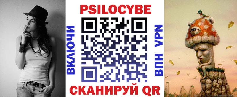 Псилоцибиновые грибы мицелий  где купить   Нововоронеж 