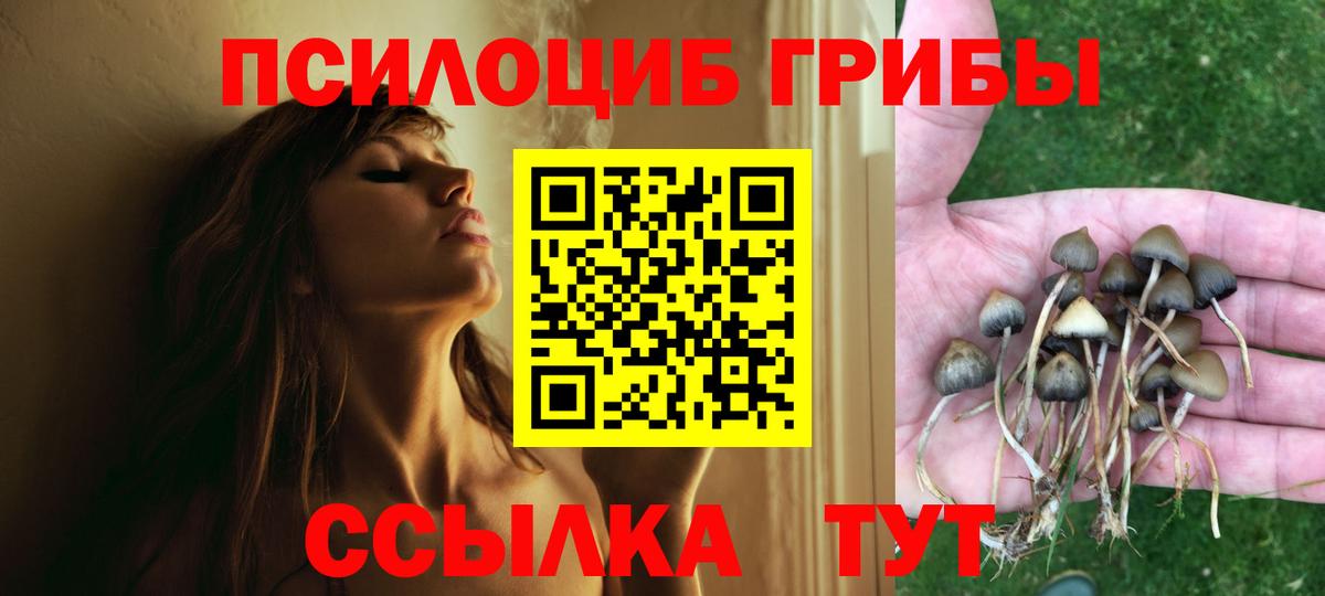 Галлюциногенные грибы ЛСД Нововоронеж