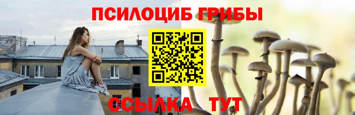 Галлюциногенные грибы Cubensis  Вход с VPN  Нововоронеж 